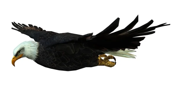 Darstellung Eines Fliegenden Adlers Isoliert Auf Weißem Hintergrund — Stockfoto
