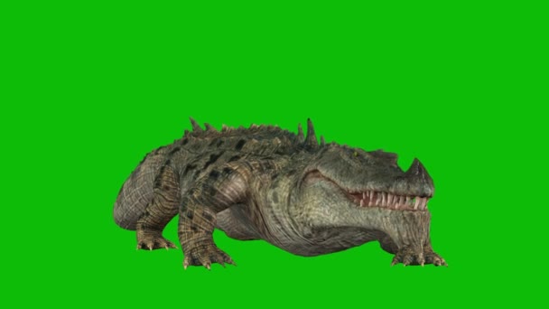 Dinossauro Cor Verde — Vídeo de Stock