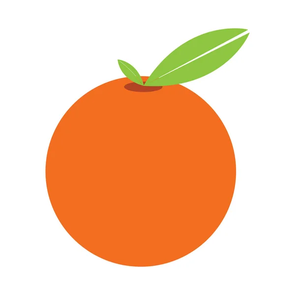 柑橘类水果图标图标图标图标设计 — 图库矢量图片