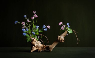 Zarif, narin, gizemli, mistik, romantik çiçek aranjmanı pembe, mavi renkli yabani çiçekler. Myosotis..