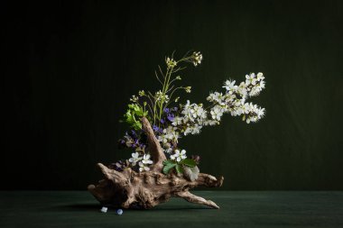 Prnus çiçekli beyaz sakura ikebana dalı bir ağacın kökünde