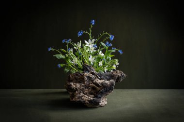 Hassas bir buket. İkebana. Bahar. Çiçekler. Minimalist buket. Beyaz ve mavi çiçekler. Ornithogalum. Myosotis. Yakalayın!.