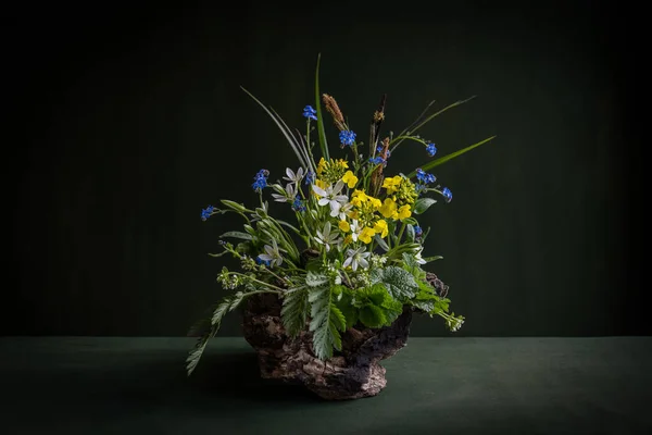 Ornithogalum Myostis Zartes Arrangement Aus Weißen Gelben Und Blauen Wildblumen — Stockfoto