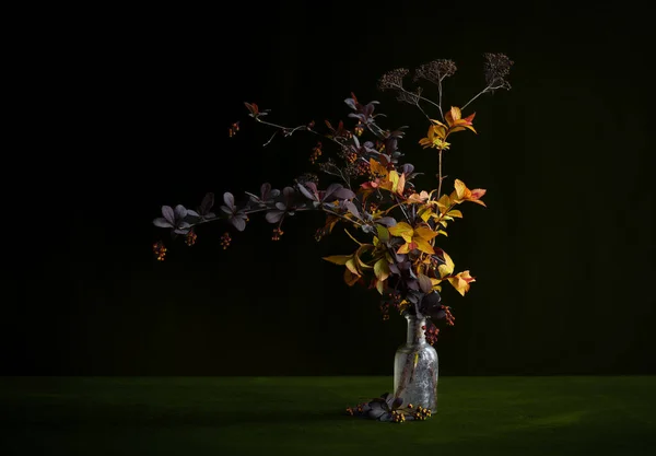 Berberis Thunbergii Состав Цветов Икебана Весной Цветы Винтажная Бутылка — стоковое фото