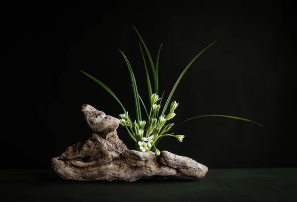 Minimalist, floral arrangement. Ikebana. Spring. Flowers. White flowers. Leaves and ears of herbs. Snag. Ornithogalum.