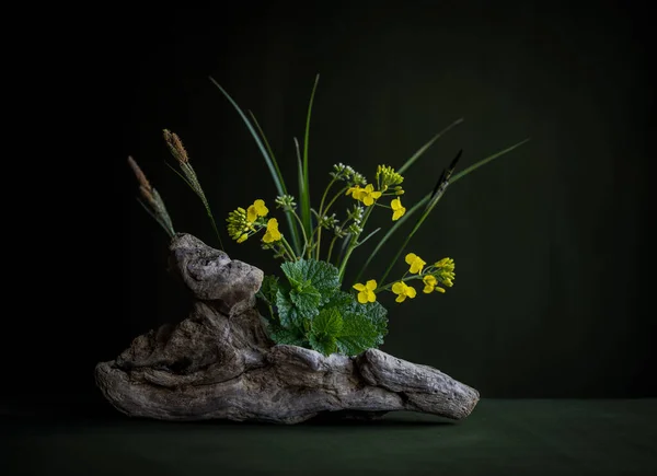 Minimalistisches Florales Arrangement Ikebana Frühling Blumen Gelbe Blumen Blätter Und — Stockfoto
