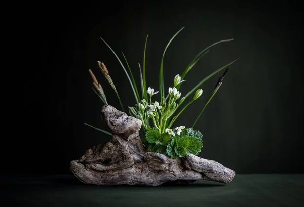 Blütenkomposition Ikebana Frühling Blumen Minimalistischer Strauß Weiße Blumen Ornithogalum Blätter — Stockfoto