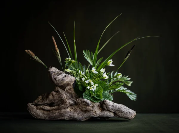 Blütenkomposition Ikebana Frühling Blumen Minimalistischer Strauß Weiße Blumen Ornithogalum Blätter — Stockfoto