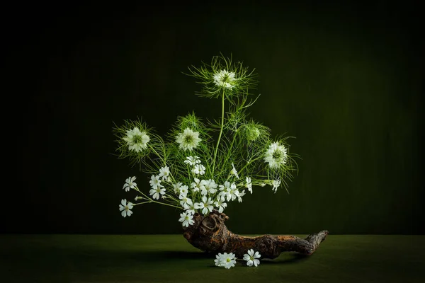Arrangement Auf Einem Büschel Weißer Römischer Korianderblüten Nigella Sativa — Stockfoto