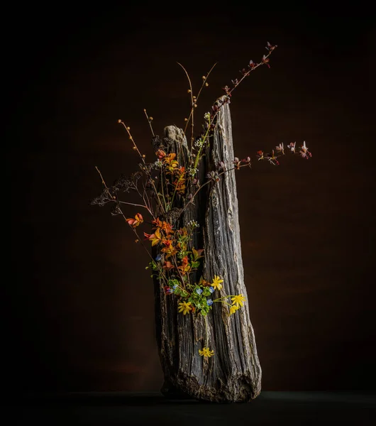 Ranunkelgewächse Berberis Vulgaris Atropurpurea Vertikale Blumenanordnung Eines Zweiges Aus Berberitze — Stockfoto