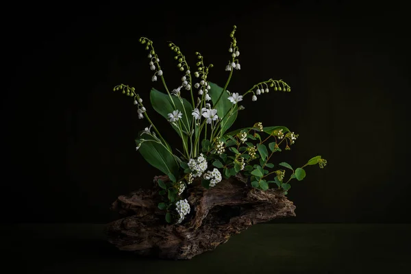 Convallria Cerstium Duftende Minimalistische Komposition Zarter Weißer Blüten Auf Einem — Stockfoto