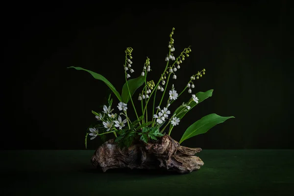 Eine Bescheidene Minimalistische Komposition Aus Zarten Weißen Blüten Auf Einem — Stockfoto