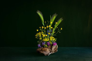 Rannculus. Smphytum. Triflium. Yabani çiçeklerin bileşimi, sarı, mavi, pembe ve çimen kulakları..  