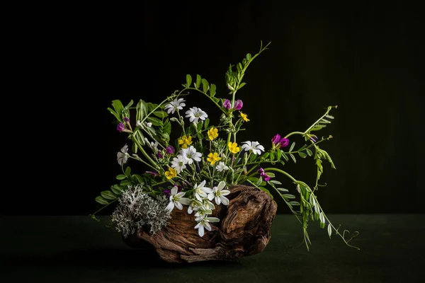 Cerstium Rannculus Ornithgalum Vcia Crcca Wildblumen Einer Komposition Auf Einem — Stockfoto
