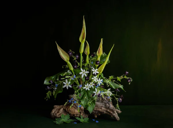Ornithgalum Geranienrabe Zantedeschia Blumenarrangements Von Wald Feld Wildblumen — Stockfoto