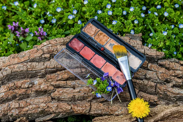 A palette of creamy textures for make-up in a flower meadow. Delicate bouquet of wildflowers. Bark of tree. Face makeup brush.