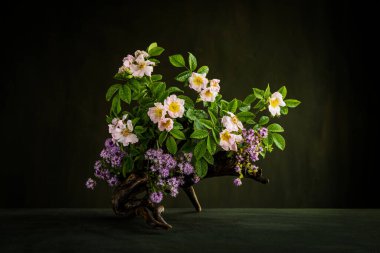 Beden tasarımı. Rosehip ve kekik çiçekleri bir ağaç çıkıntısında. Rosehip (lat. Rosaceae familyasından Rosaceae familyasından bir bitki cinsidir. Thymus. Lamiaceae.