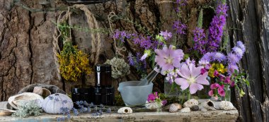 Kurutulmuş şifalı bitkiler. Homeopatik bitkiler. Deniz ürünleri. Doğal tıp..