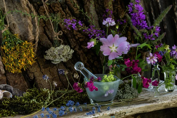 Homeopatik bitkiler. Tıbbi bitkileri öğütmek için havan camı ve tokmak. Çay için şifalı bitkiler. Beden eğitimi. Bir buket yabani çiçek. Deniz ürünleri. Doğal tıp..