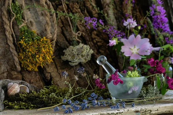 Mörserglas Und Stößel Zum Mahlen Von Heilpflanzen Heilkräuter Für Tee — Stockfoto