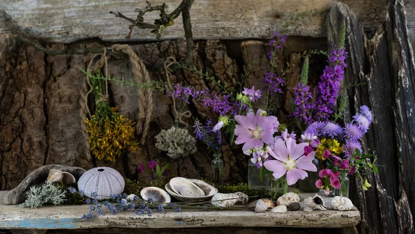 Kräuterbehandlung Strauß Wilder Blumen Bündel Getrockneter Heilkräuter Homöopathische Pflanzen Meeresfrüchte — Stockfoto