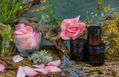 Phytodesign from medicinal herbs. Wrinkle cream. Phyto laboratory cosmetic. Rose.