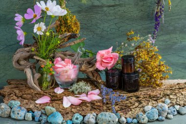 Bouquets of medicinal herbs. Wrinkle cream. Phyto laboratory cosmetic. Rose.