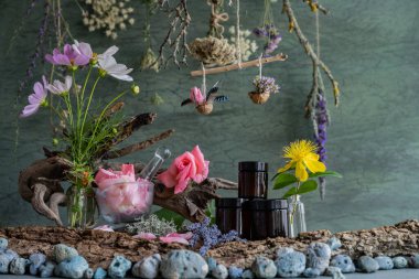 Production of natural cosmetics. Phyto laboratory. Rose.