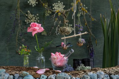 Natural anti-wrinkle cream from rose petals. Medicinal herbs. Natural cosmetics manufacturing.