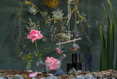 Cream for wrinkles from rose petals. Medicinal herbs. Natural cosmetics manufacturing.