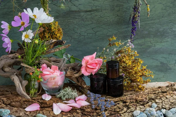 Floral composition of medicinal herbs. Wrinkle cream. Phyto laboratory cosmetic. Rose.