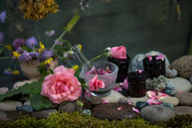 Farmakoloji Kozmetik. Yüz kremi. Cilt tazeleme. Kırışıklık kremi. İlaç bitkileri. Gül. Gül yaprağı kreması. Kozmetik uzmanı. Krem şanti. Beden eğitimi. Kozmetik laboratuarı. Yüz kremi yapıyorum..