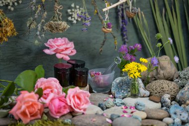 Kozmetik Phyto ürünleri. Bitkisel ilaçlar. Merhem yapıyorum. Vahşi çiçeklerle dolu bir hayat. Laboratuvar camları. İlaç bitkileri. Yabani çiçekler. Çiçek kozmetikleri. Eczacılık. Lthyrus pratnsisLthy