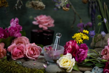 Merhem yapıyorum. Vahşi çiçeklerle dolu bir hayat. Laboratuvar camları. İlaç bitkileri. Yabani çiçekler. Çiçek kozmetikleri. Phyto kompozisyonu. Lthyrus pratnsis Lthyrus sylvstrisVicia Trifolium çatlağı