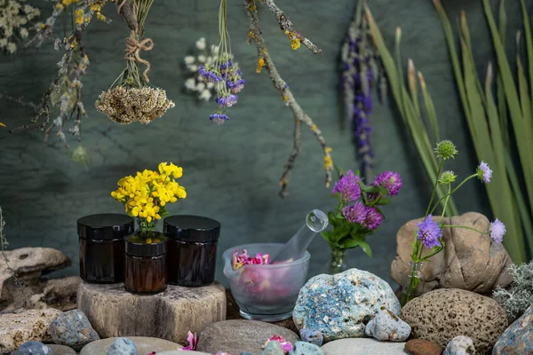 Kräutermedizin Eine Salbe Herstellen Stillleben Von Wildblumen Laborgläser Heilpflanzen Wildblumen — Stockfoto