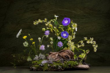 Yaban çiçeklerinin, yosunların, ağaç köklerinin bileşimi. Buket, Ikebana.