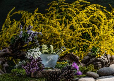 Kozmetik malzemeleri. Şifalı bitkilerden oluşan çiçek bileşimi. Taşlar, yosunlar, kır çiçekleri. kozmetik malzemeler.