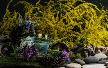 Kozmetik malzemeleri. Şifalı bitkilerden oluşan çiçek bileşimi. Taşlar, yosunlar, kır çiçekleri. kozmetik malzemeler.