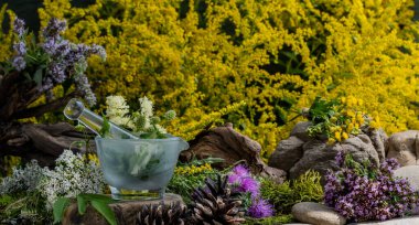 Kozmetik malzemeleri. Şifalı bitkilerden oluşan çiçek bileşimi. Taşlar, yosunlar, kır çiçekleri. kozmetik malzemeler.