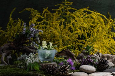 Kozmetik malzemeleri. Şifalı bitkilerden oluşan çiçek bileşimi. Taşlar, yosunlar, kır çiçekleri. kozmetik malzemeler.