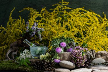 Kozmetik malzemeleri. Şifalı bitkilerden oluşan çiçek bileşimi. Taşlar, yosunlar, kır çiçekleri. kozmetik malzemeler.