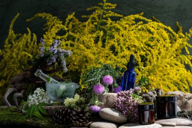 Kozmetik malzemeleri. Şifalı bitkilerden oluşan çiçek bileşimi. Taşlar, yosunlar, kır çiçekleri. kozmetik malzemeler.