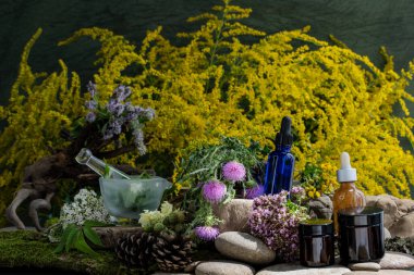 Kozmetik malzemeleri. Şifalı bitkilerden oluşan çiçek bileşimi. Taşlar, yosunlar, kır çiçekleri. kozmetik malzemeler.