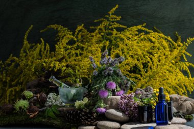 Kozmetik malzemeleri. Şifalı bitkilerden oluşan çiçek bileşimi. Taşlar, yosunlar, kır çiçekleri. kozmetik malzemeler.