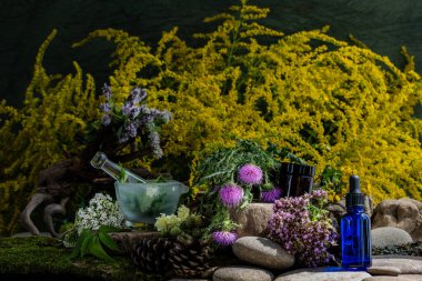 Kozmetik malzemeleri. Şifalı bitkilerden oluşan çiçek bileşimi. Taşlar, yosunlar, kır çiçekleri. kozmetik malzemeler.
