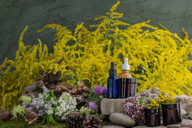 Kozmetik malzemeleri. Şifalı bitkilerden oluşan çiçek bileşimi. Taşlar, yosunlar, kır çiçekleri. kozmetik malzemeler.