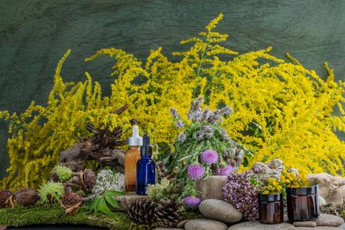 Kozmetik malzemeleri. Şifalı bitkilerden oluşan çiçek bileşimi. Taşlar, yosunlar, kır çiçekleri. kozmetik malzemeler.