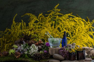 Kozmetik malzemeleri. Şifalı bitkilerden oluşan çiçek bileşimi. Taşlar, yosunlar, kır çiçekleri. kozmetik malzemeler.