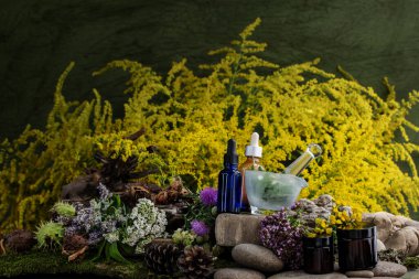 Kozmetik malzemeleri. Şifalı bitkilerden oluşan çiçek bileşimi. Taşlar, yosunlar, kır çiçekleri. kozmetik malzemeler.