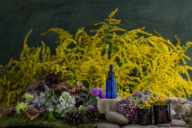 Kozmetik malzemeleri. Şifalı bitkilerden oluşan çiçek bileşimi. Taşlar, yosunlar, kır çiçekleri. kozmetik malzemeler.